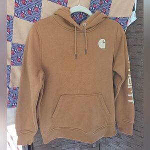 Carhartt Men's Brown Hoodie
